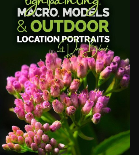 KelbyOne – Lightpainting: Macro, Models, and Outdoor Location Portrait