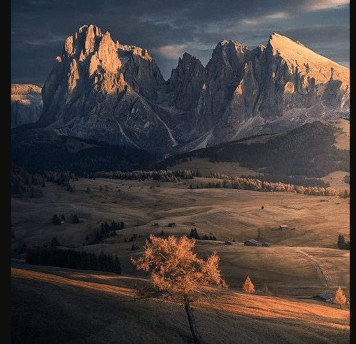 Max Rive Tutorials Bundle
