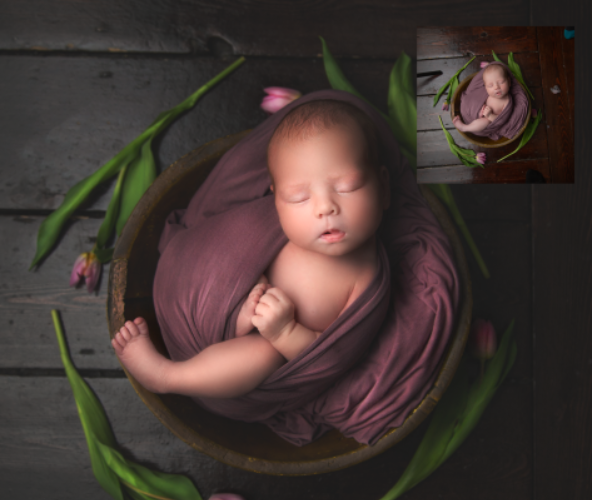 Sweet Soul Studios – May Newborn