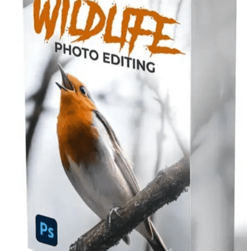 Zenja Gammer – Wildlife Photo Editing Course