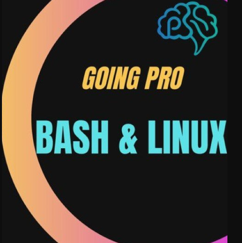 Linux and Bash: Going Pro