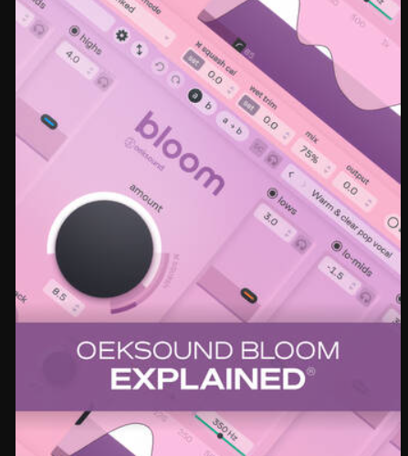 Groove3 oeksound bloom Explained TUTORiAL