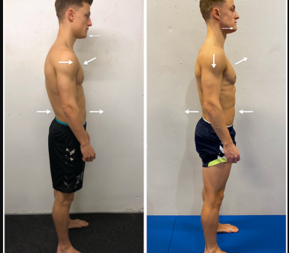 HUMAN MECHANICS ONLINE 10 WEEK COURSE – Get Rid of Your Pain For Good