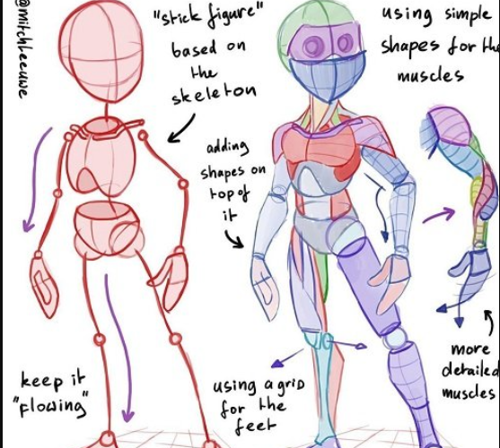 How to Learn Anatomy by Mitch Leeuwe