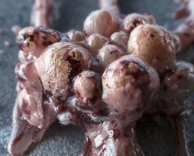 Motion Design Academy – Mastering Houdini on a new level: The Symbiote Creatur