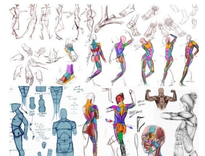 CGMA – Analytical Figure Drawing with Ron Lemen