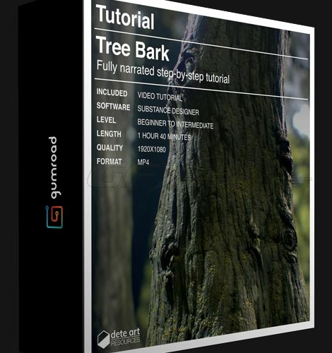 Gumroad – Tree Bark Creation – Substance Designer Tutoria