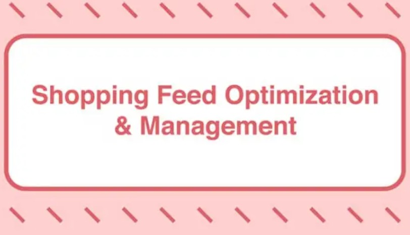 Take Some Risk – Shopping Feed Optimization and Management